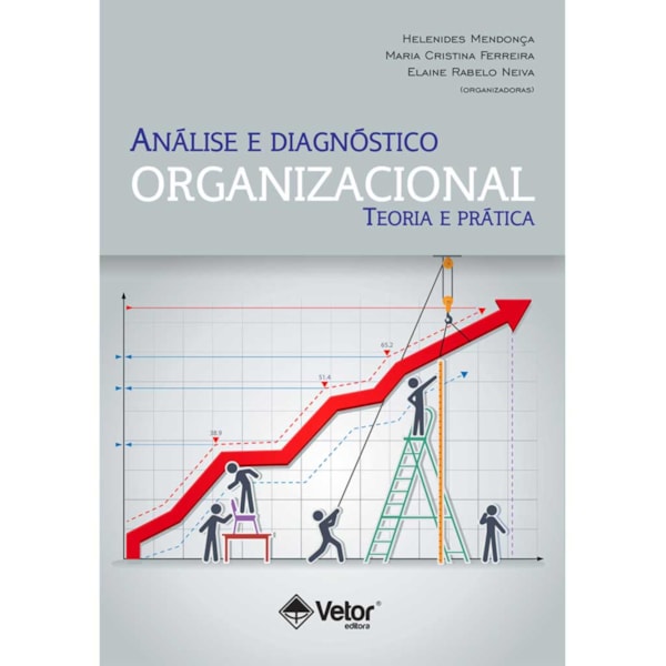 Análise e Diagnóstico Organizacional: Teoria e Prática