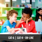 CAT-A E CAT-H - Curso on-line