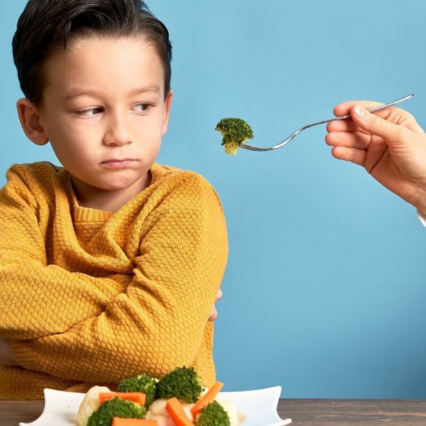 Estratégias de Intervenção em Seletividade Alimentar Infantil - Streaming