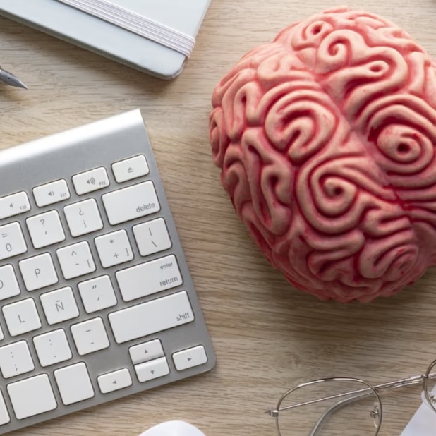 Fundamentos da Neuropsicologia - Streaming