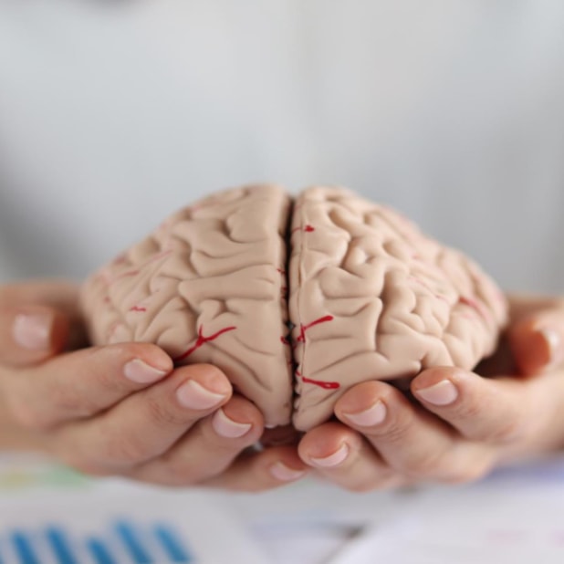 Neuropsicologia e Psicopatologia: Entendendo o Comportamento e a Cognição - Streaming