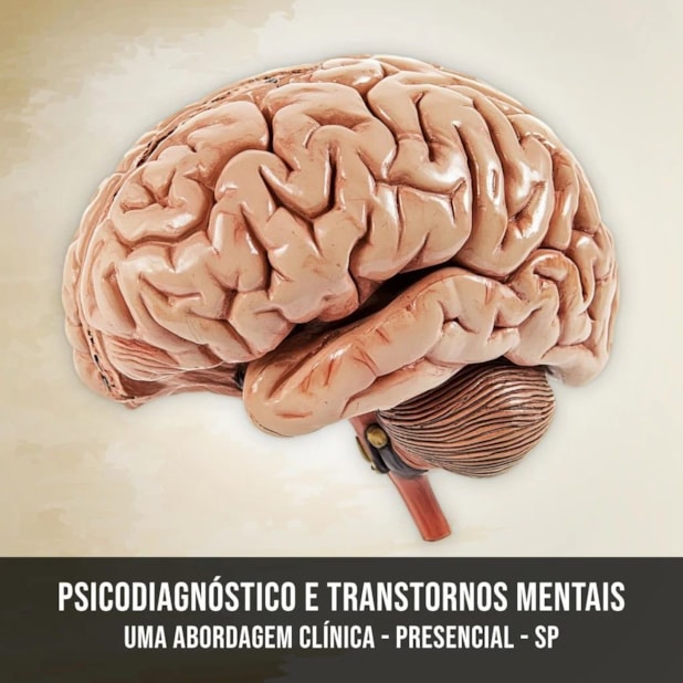 image_a00899c9-1e31-4cc3-b3d5-6090bf5d5e0b