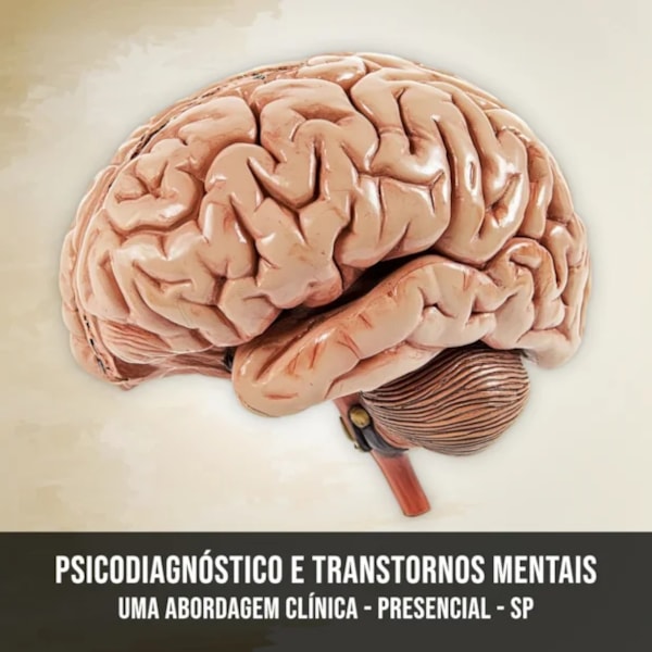 Psicodiagnóstico e Transtornos Mentais: Uma Abordagem Clínica - Curso Presencial - São Paulo